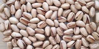 تصویر 2 از خرید و قیمت پسته اکبری درجه یک + فروش عمده